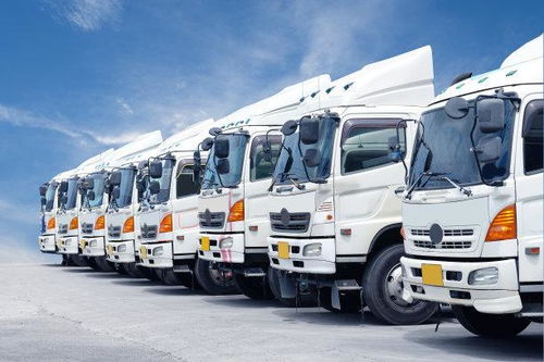 网络货运申报成本高企与合规之路 百万门槛与程序迷宫的挑战