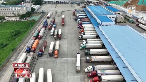 从经济数据看活力中国 30%以上增速与127条国际货运航线展现道路货物运输强劲动能